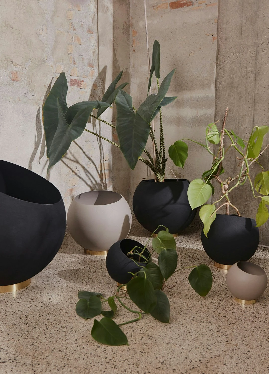 Front Page -Sagaform Shop aytm globe flower pot black 6 3
