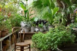 Bergs Potter Copenhagen Pot Grey, 16 Cm -Sagaform Shop bergs potter copenhagen pot grey 27 1