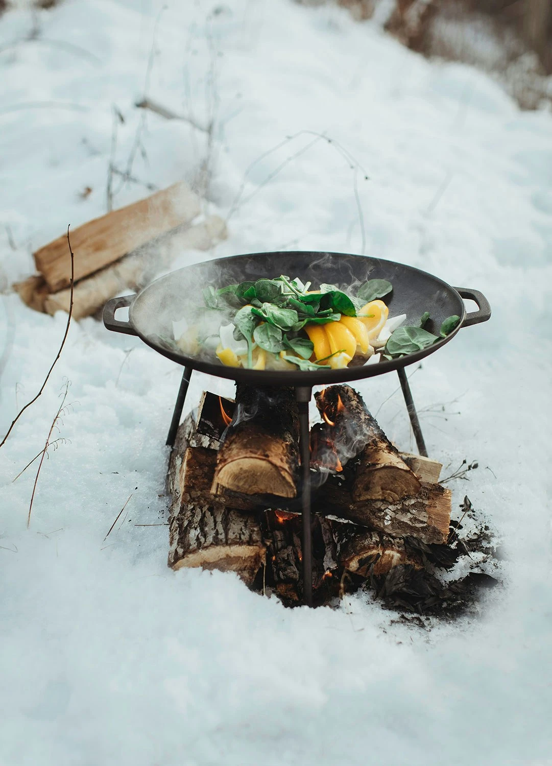 Front Page -Sagaform Shop dorre stevie roast removable leg cast iron 1