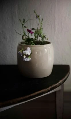 Ernst Pot Glazed Stoneware Ø14 Cm, Beige -Sagaform Shop ernst pot glazed stoneware beige 1 1