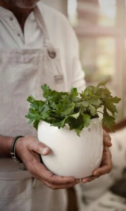 Ernst Pot Glazed Stoneware Ø19,5 Cm, White -Sagaform Shop ernst pot glazed stoneware white 1 1