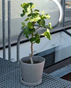 Hay Flowerpot With Saucer Grey, Ø11 Cm S -Sagaform Shop hay flowerpot pot with saucer grey 2