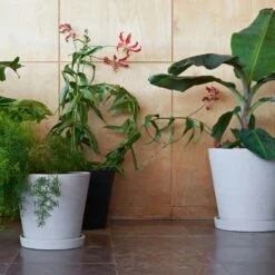 Hay Flowerpot With Saucer Grey, Ø11 Cm S -Sagaform Shop hay flowerpot with saucer grey 1