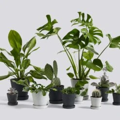 Hay Flowerpot With Saucer Grey, Ø11 Cm S -Sagaform Shop hay flowerpot with saucer grey 3