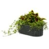 Korbo Flower Box 49x20 Cm, Galvanised Steel -Sagaform Shop korbo balcony basket 3