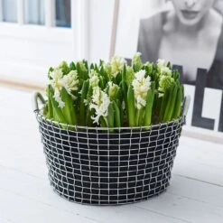 Front Page -Sagaform Shop korbo plantingbags 35l 3pcs 1