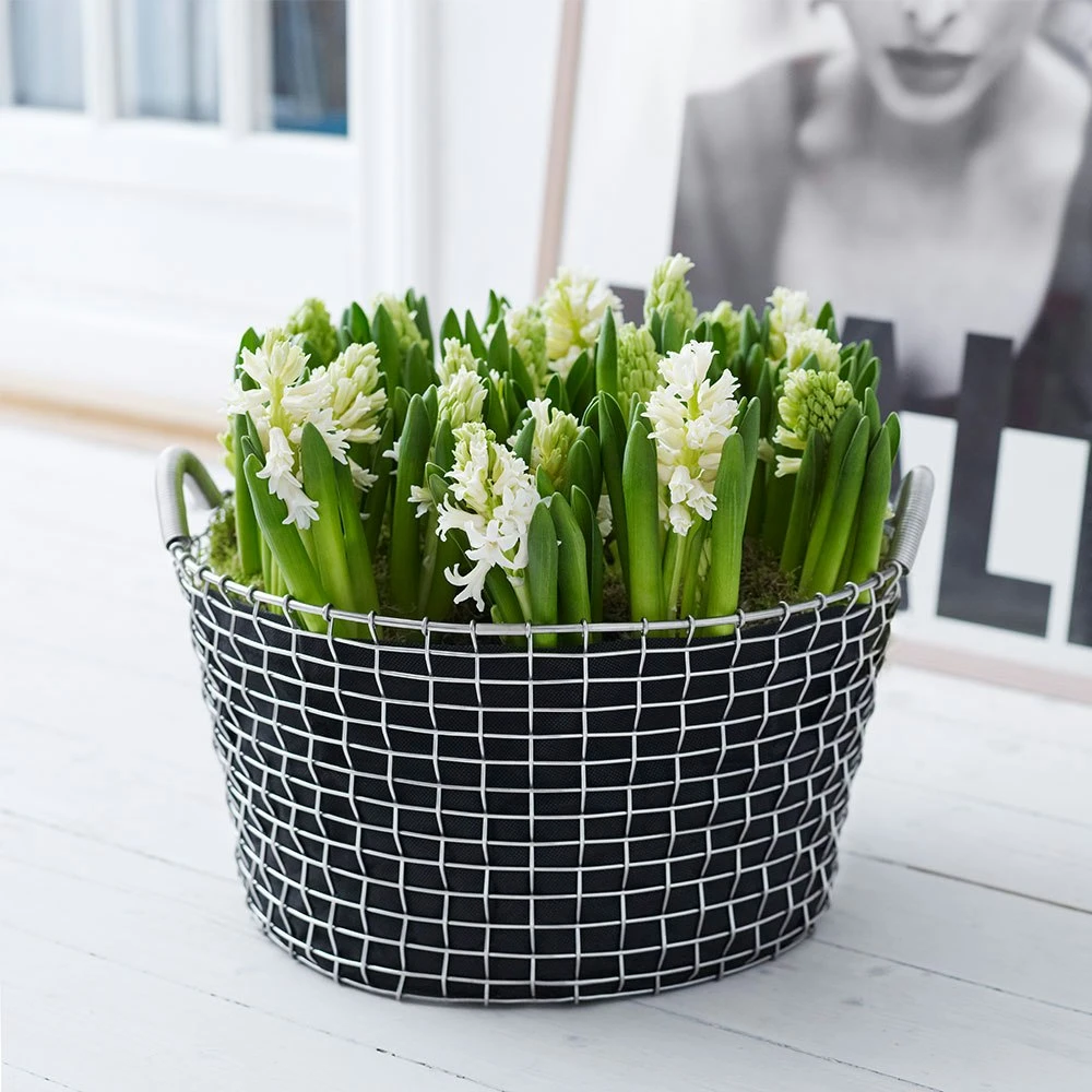 Korbo Plantingbags 35l, 3Pcs 4 Korbo Plantingbags 35l, 3Pcs - Image 2