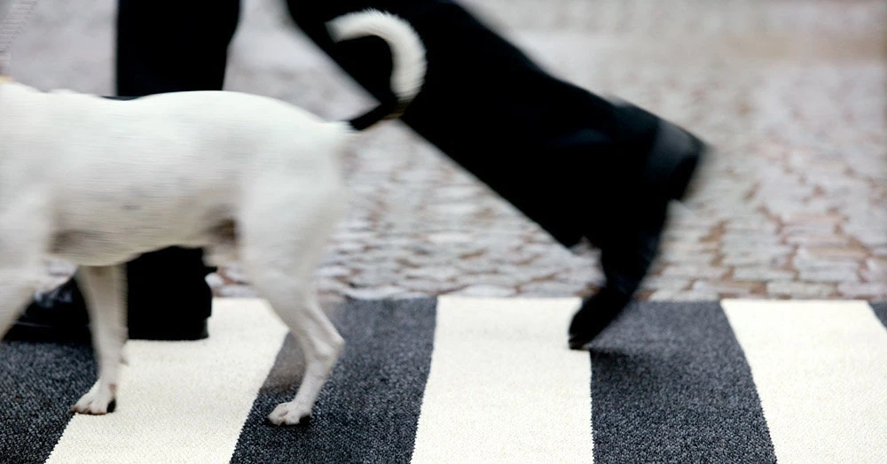 Bob Rug 70x120 Cm, Black/Vanilla 4 Bob Rug 70x120 Cm, Black/Vanilla - Image 2