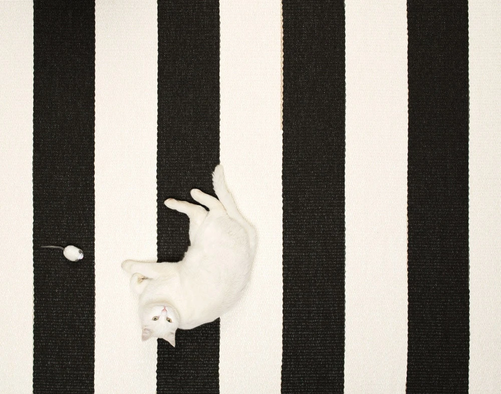 Bob Rug 70x120 Cm, Black/Vanilla 5 Bob Rug 70x120 Cm, Black/Vanilla - Image 3