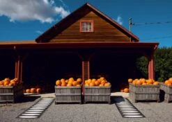 Ella Rug 70x150 Cm, Black/Vanilla 8 Ella Rug 70x150 Cm, Black/Vanilla -Sagaform Shop pappelina ella rug black vanilla 2 2