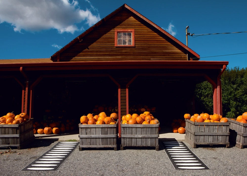 Ella Rug 70x150 Cm, Black/Vanilla 5 Ella Rug 70x150 Cm, Black/Vanilla - Image 3