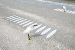 Ella Rug 70x225 Cm, Black/Vanilla -Sagaform Shop pappelina ella rug black vanilla 3 3