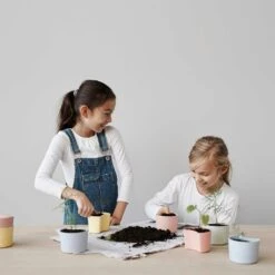 RIG TIG Your Tree Degradable Pot With Seed, Pink -Sagaform Shop rig tig by stelton your tree degradable pot with seed 1 1