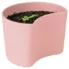 RIG TIG Your Tree Degradable Pot With Seed, Pink -Sagaform Shop rig tig by stelton your tree degradable pot with seed 7