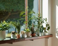 &Tradition Collect SC69 Planter SC69 Ø12x13 Cm, Milk -Sagaform Shop tradition collect planter sc69 dia12 x h13 cm 17