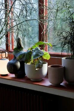 &Tradition Collect Planter Ø12x13 Cm, Sage -Sagaform Shop tradition collect planter sc69 dia12 x h13 cm 2 2