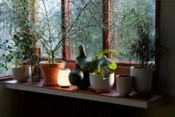 &Tradition Collect SC71 Planter Ø24x18 Cm, Ochre -Sagaform Shop tradition collect planter sc71 dia24 x h18 cm 2 1