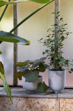 &Tradition Collect Planter Ø20x24 Cm, Ochre -Sagaform Shop tradition collect planter sc72 dia20 x h24 cm 3 1